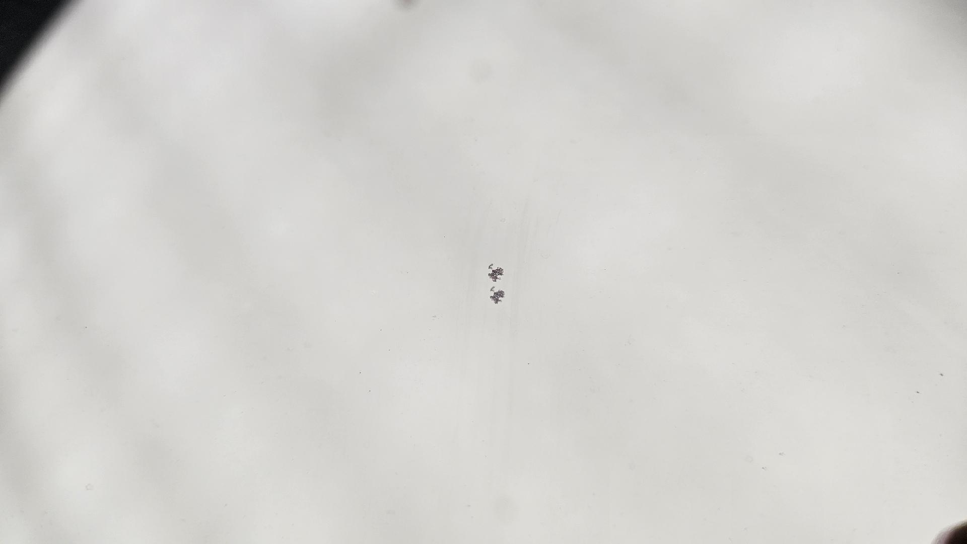 앞 유리 · 스톤칩이 있습니다.